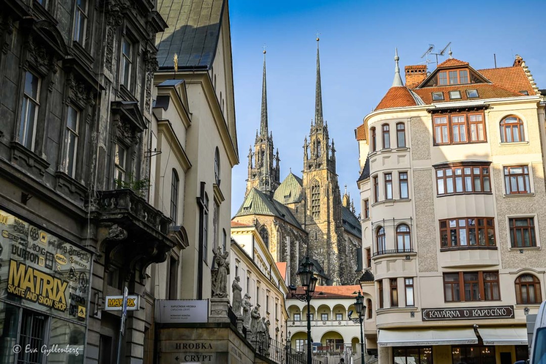 katedralen i Brno omringad av hus