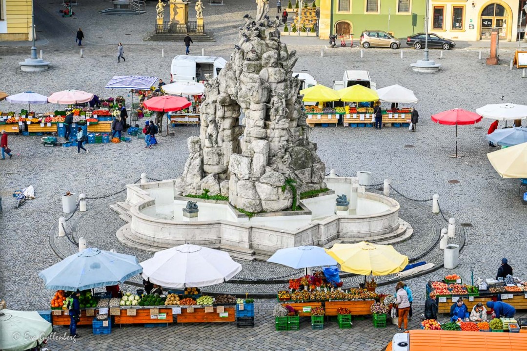 Kålmarknaden i Brno