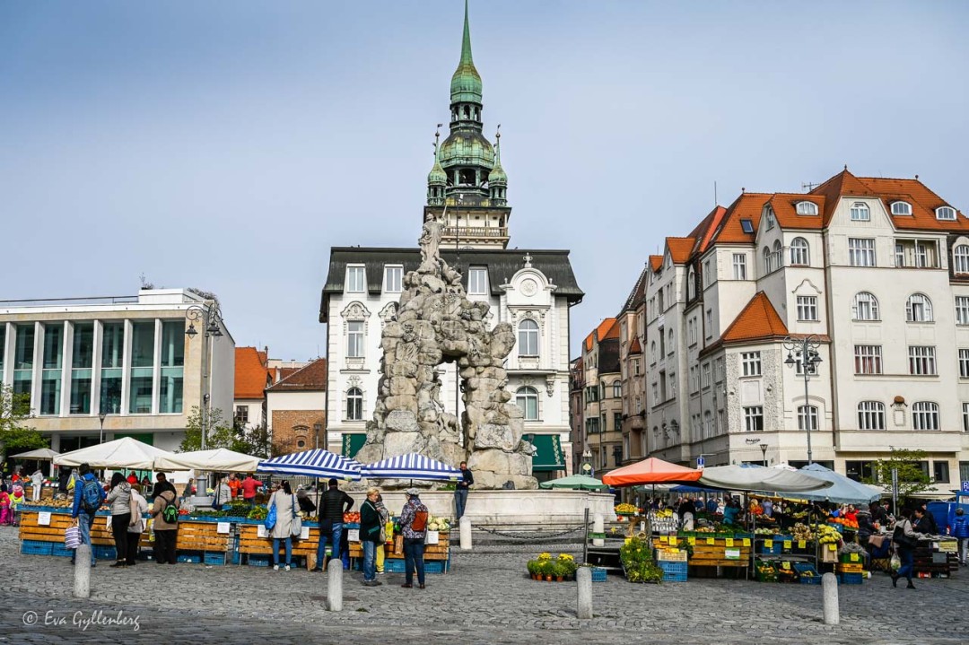 Kålmarknaden i Brno