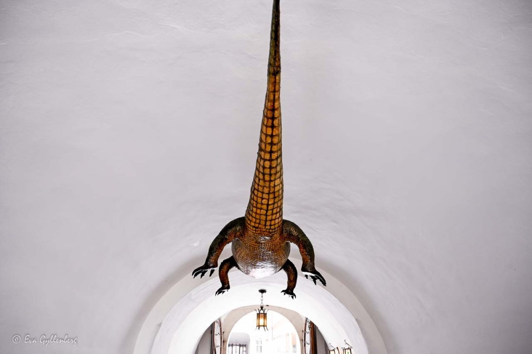 Draken i Brno
