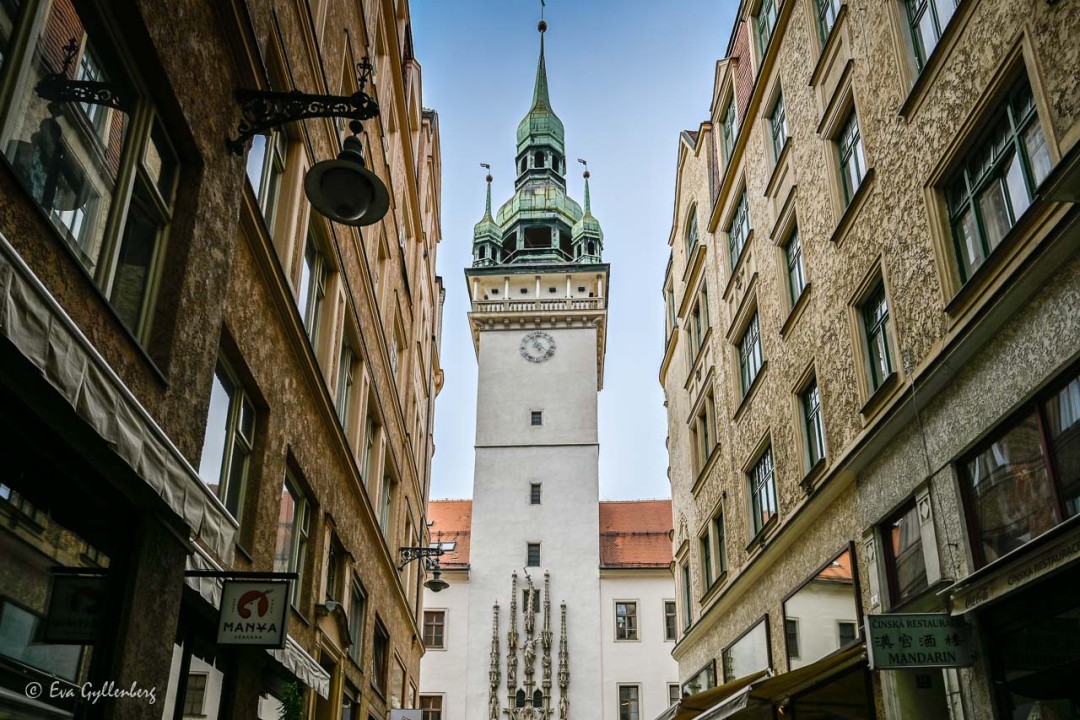 Gamla stadshuset i Brno