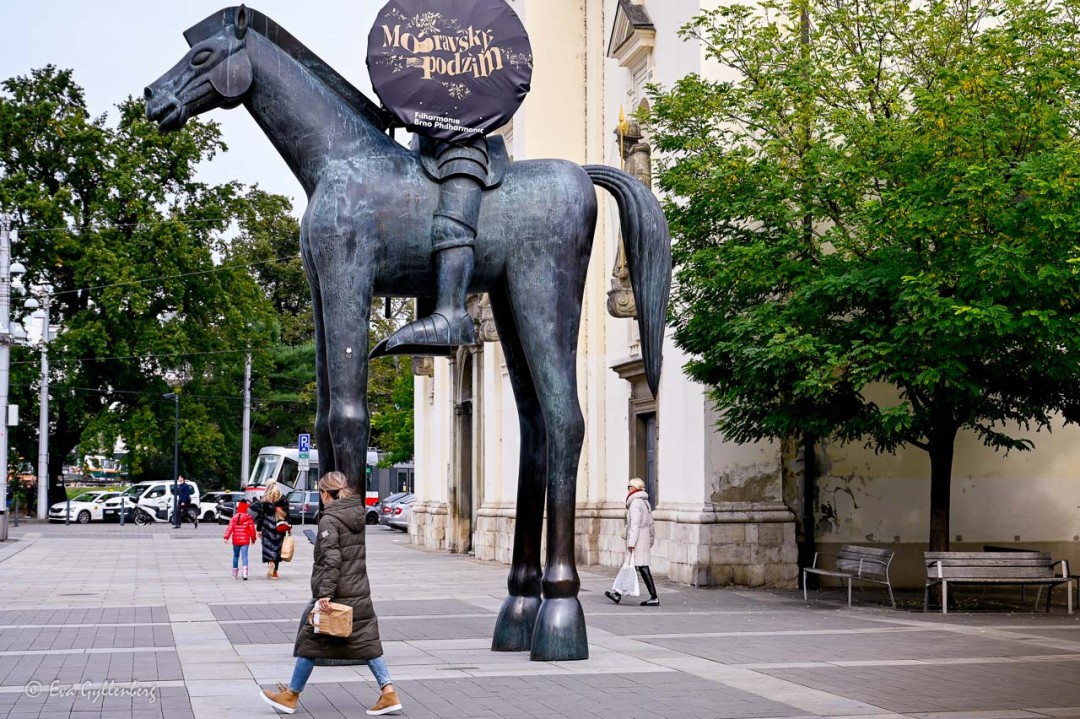 The horse on Moravia Square