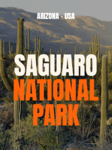 cropped-Saguaro-National-Park-1.png