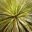 cropped-Saguaro-National-Park-Arizona-32-1.jpg
