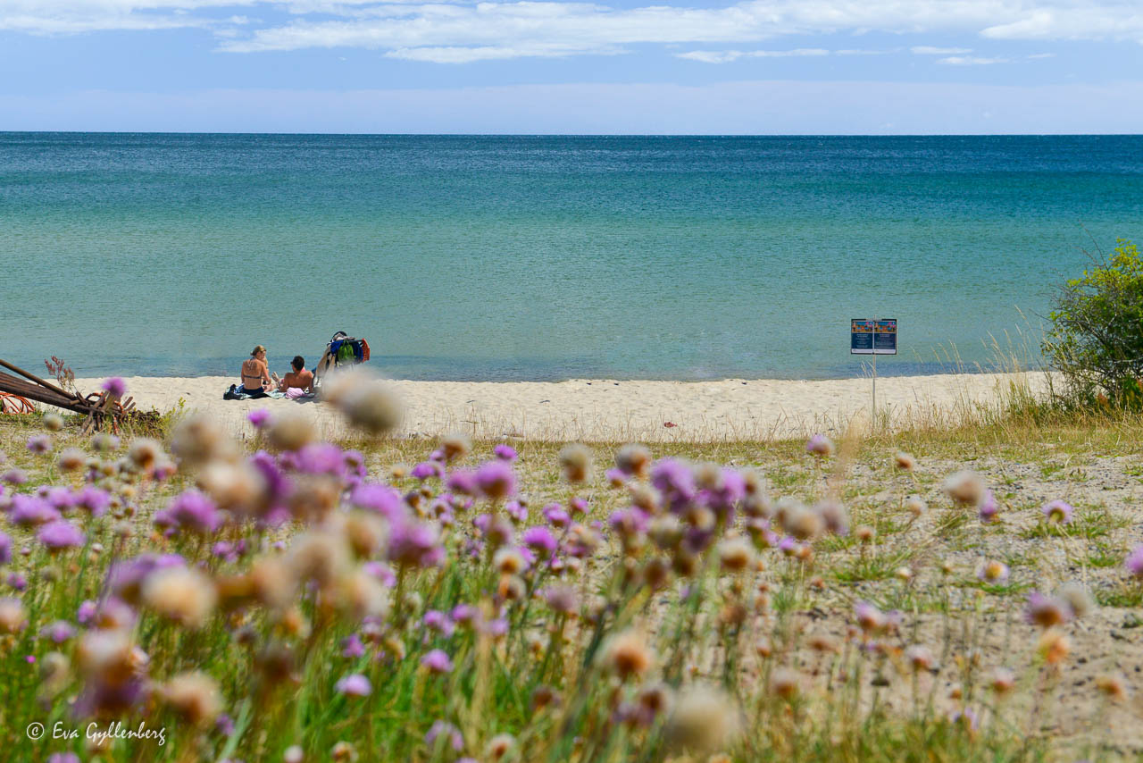 En vit sandstrand vid et blått hav på Österlen