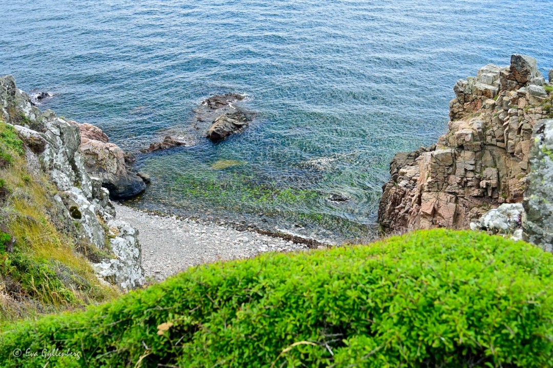 Turkost hav vid en stenig strand i Skåne