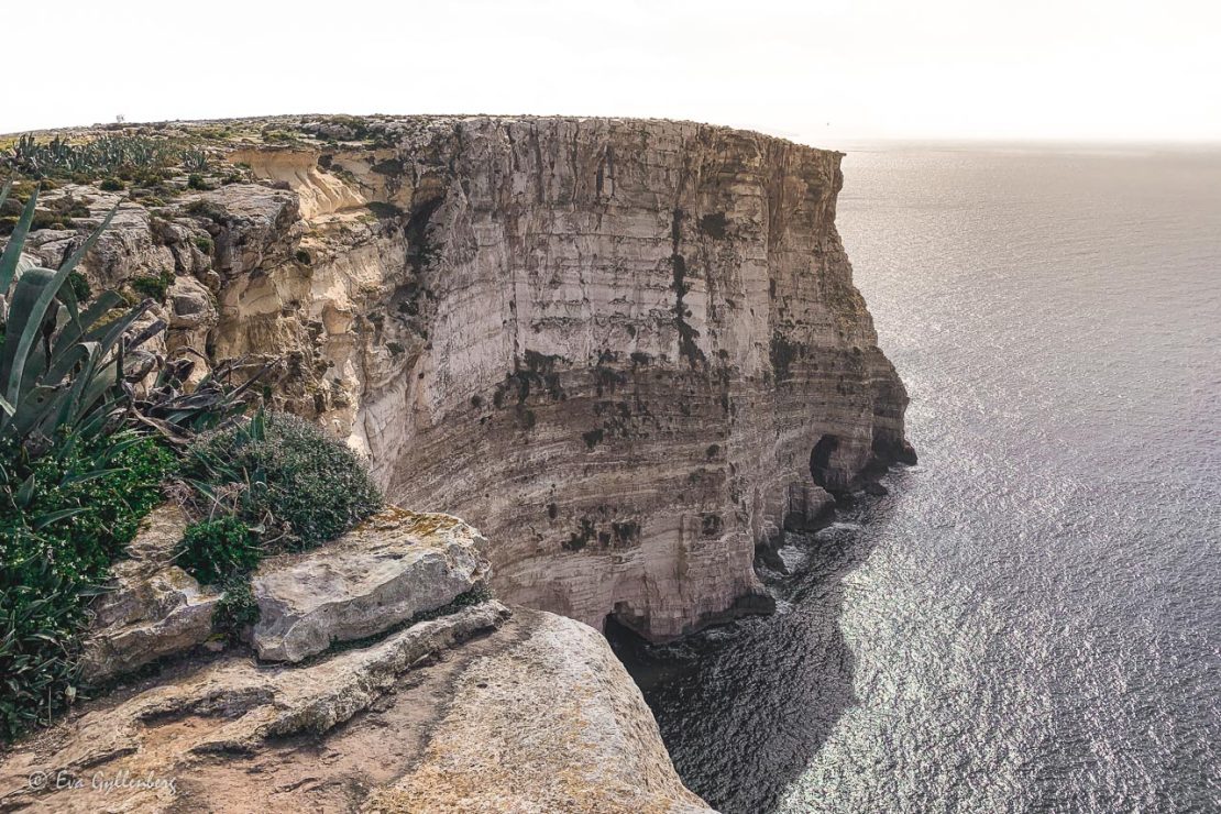 höga branta vita klippor på Gozo