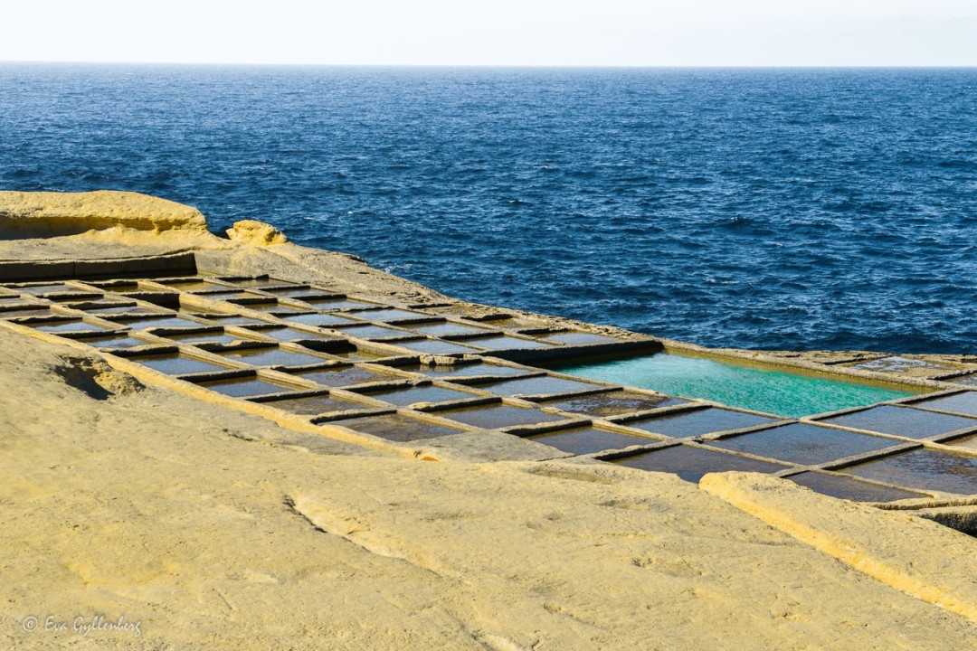 saltbassänger på gozo