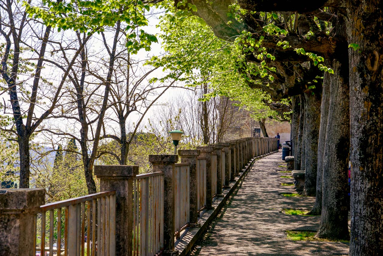 Trädtäckt gångväg med utsikt över landskapet på kullen i Montepulciano
