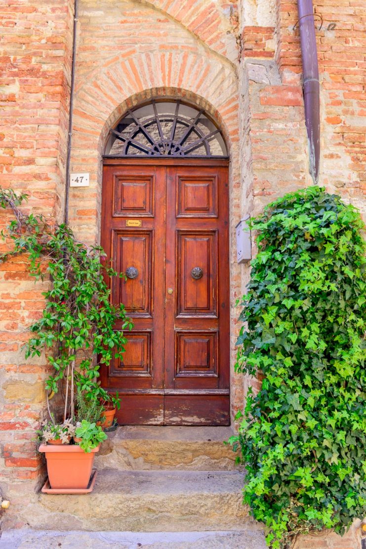 Mörk träport med växter i Toscana