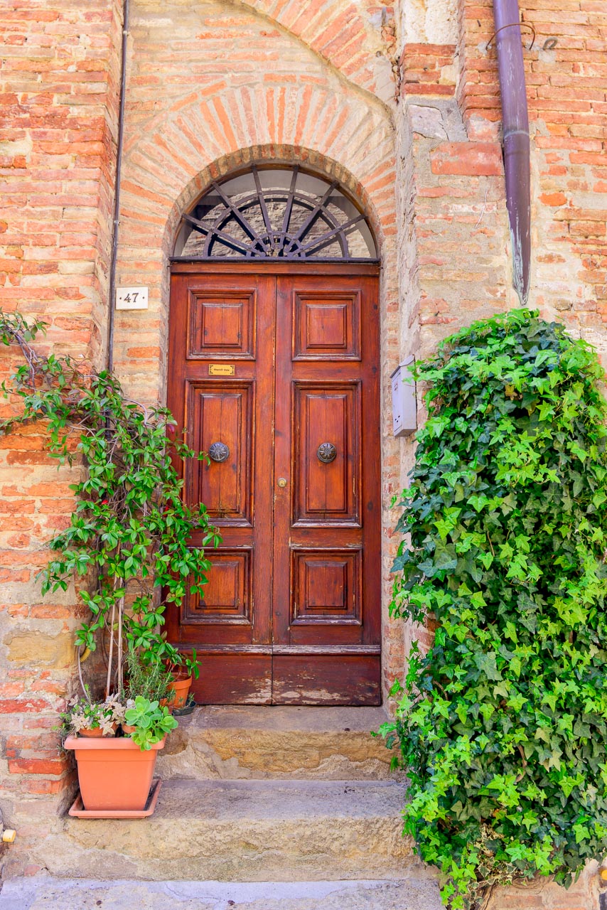 Dark wooden gate with plants in Tuscany