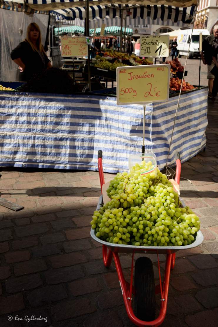 Skottkärra med vindruvor framför en torgmarknad i Trier