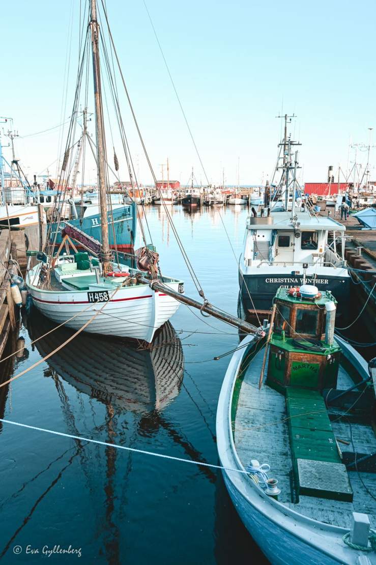 Fiskebåtar och segelbåtar i hamnen i Gilleleje