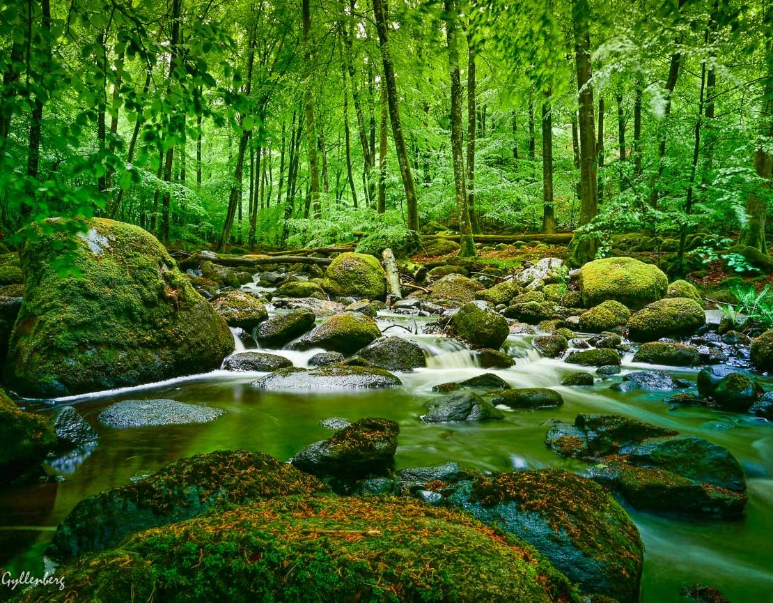 Åbjär nature reserve