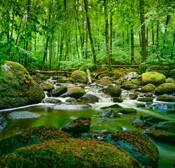 Åbjär naturreservat
