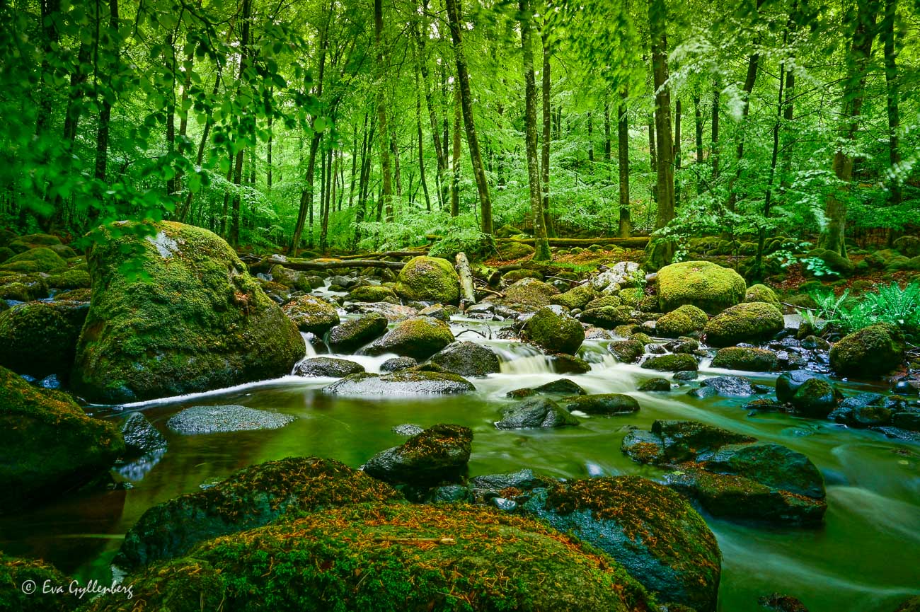 Åbjär naturreservat