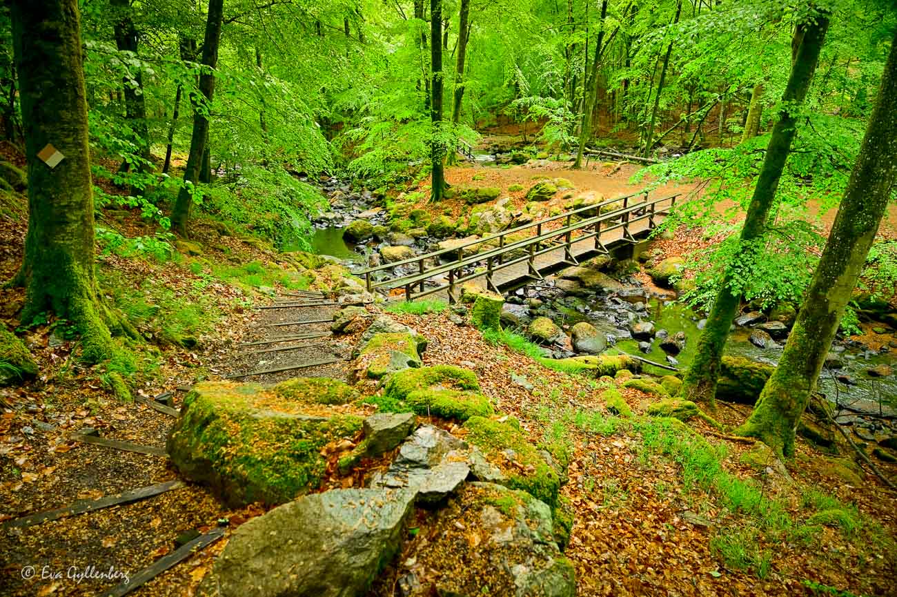 Åbjär nature reserve