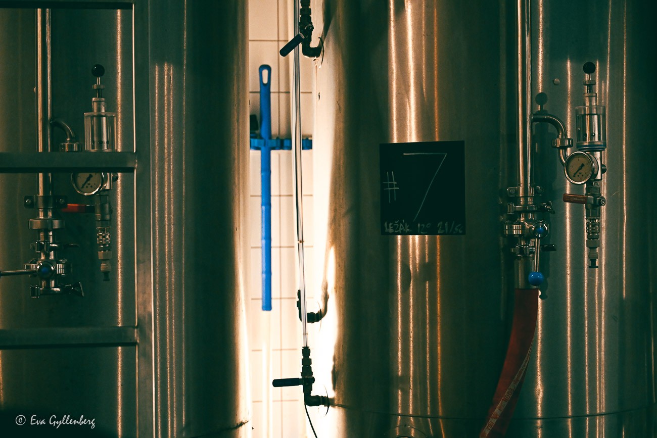 Beer kegs