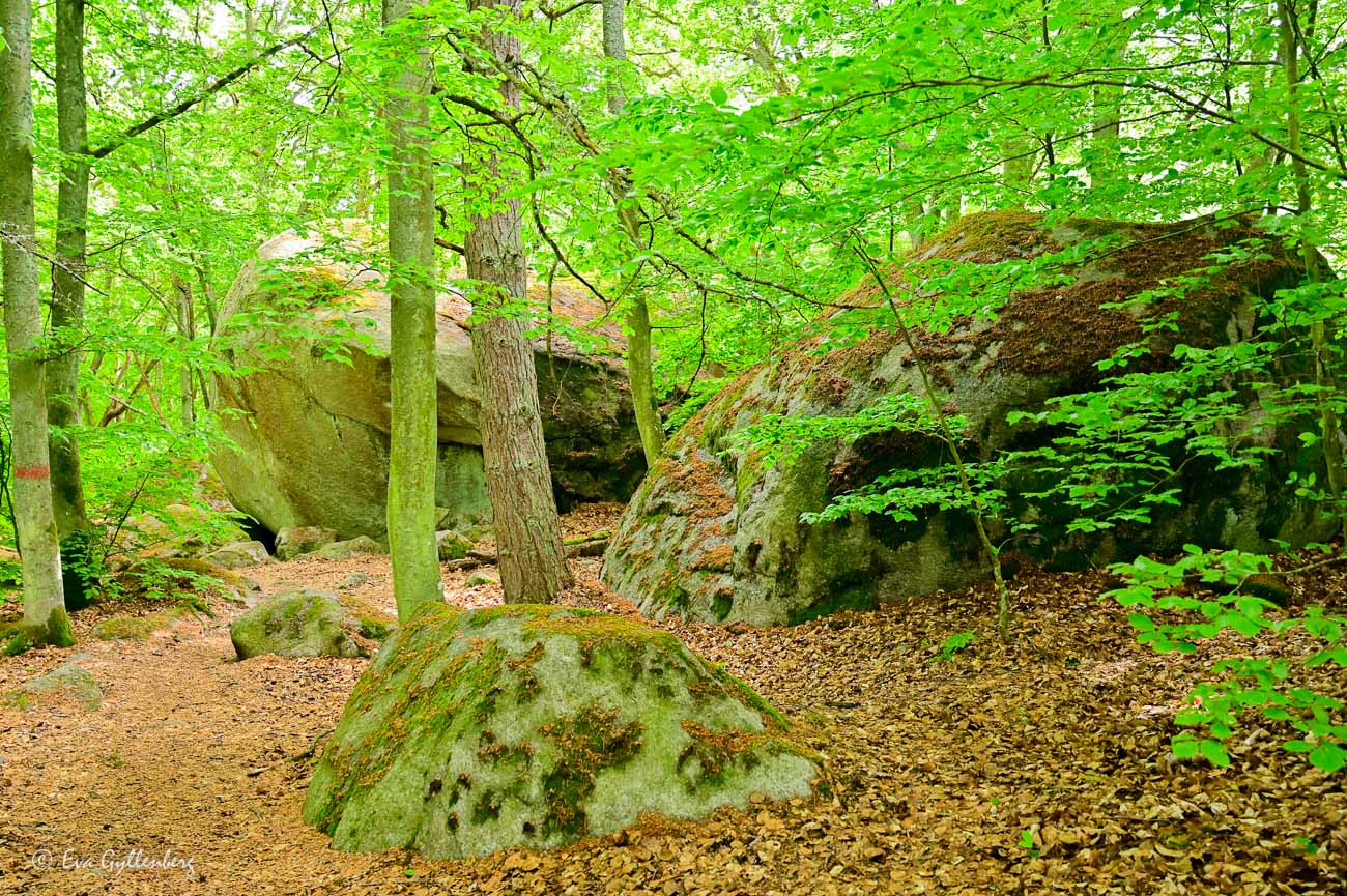 Kjugekull- Kristianstad