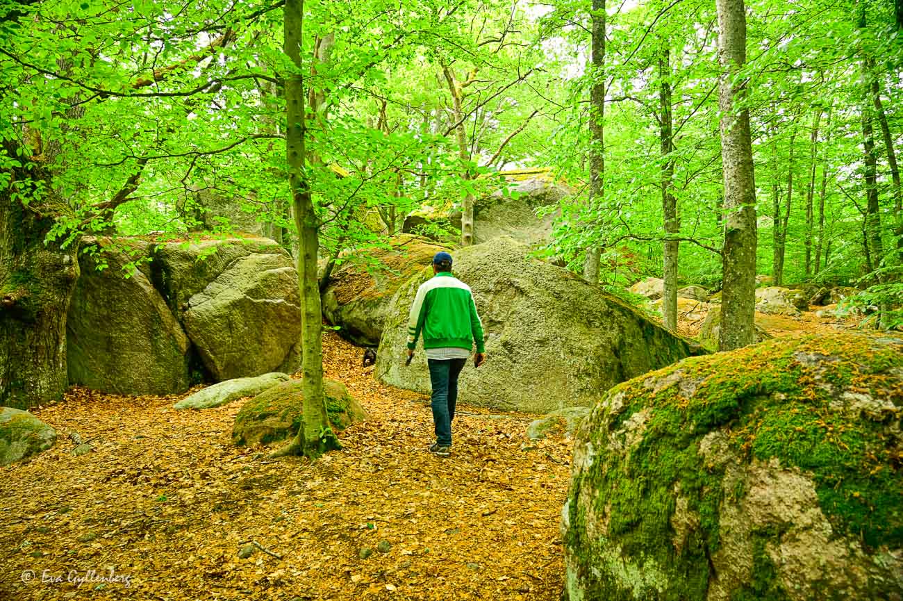 Kjugekull- Kristianstad