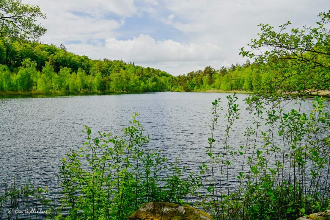 Sjön vid Lerjevallen 