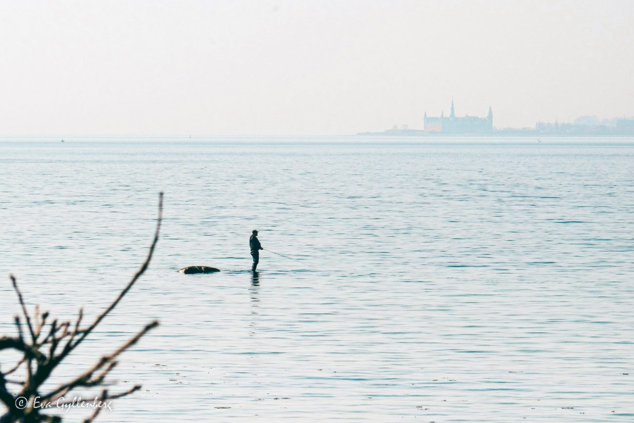 Fiskare fiskar på den svenska sidan av Öresund, med Kronborg slott i bakgrunden