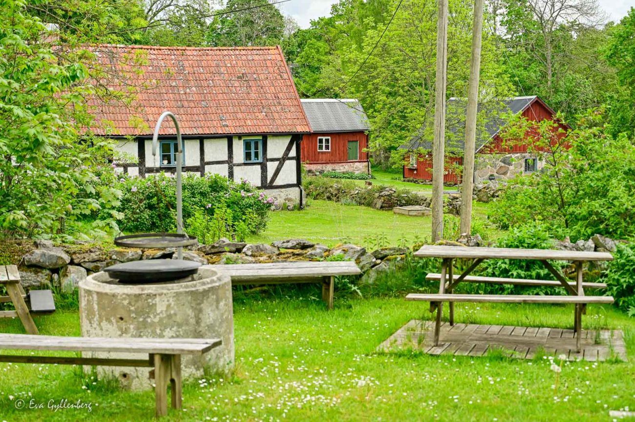 Grillplats bland korsvirkeshus
