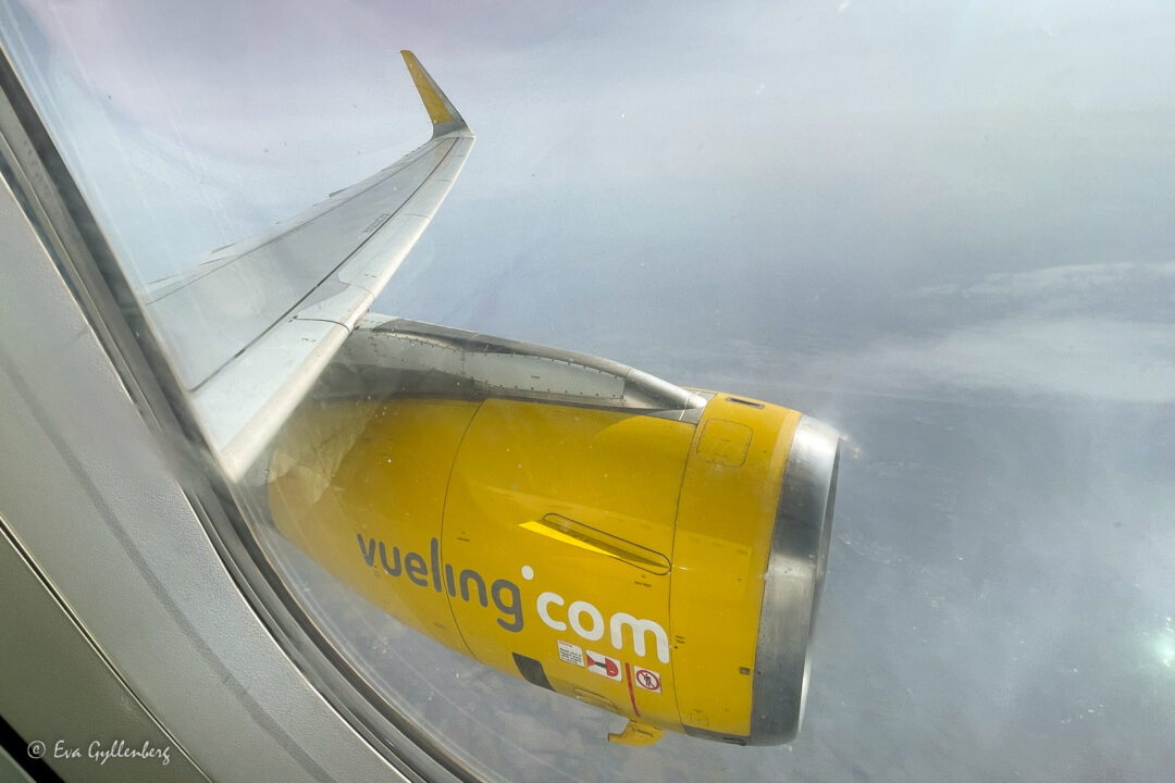 Vueling wing and engine