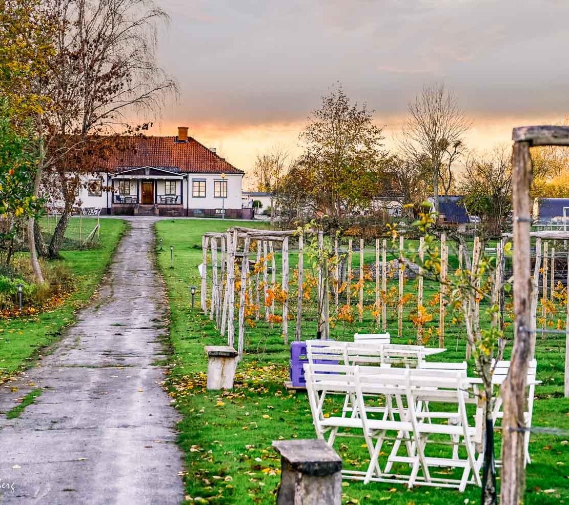 Ivögården