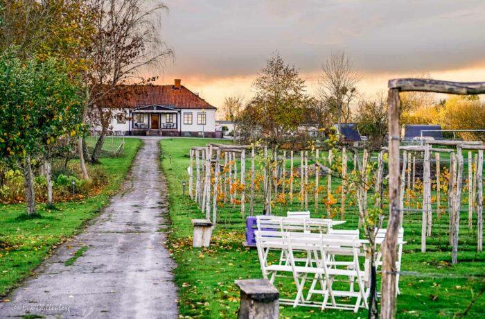 Ivöthe farm