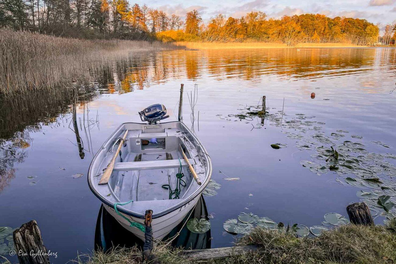 en liten båt vid en sjö i höstljlus