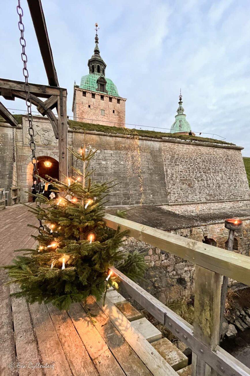 Julgran på vallgravsbryggan över till Kalmar slott