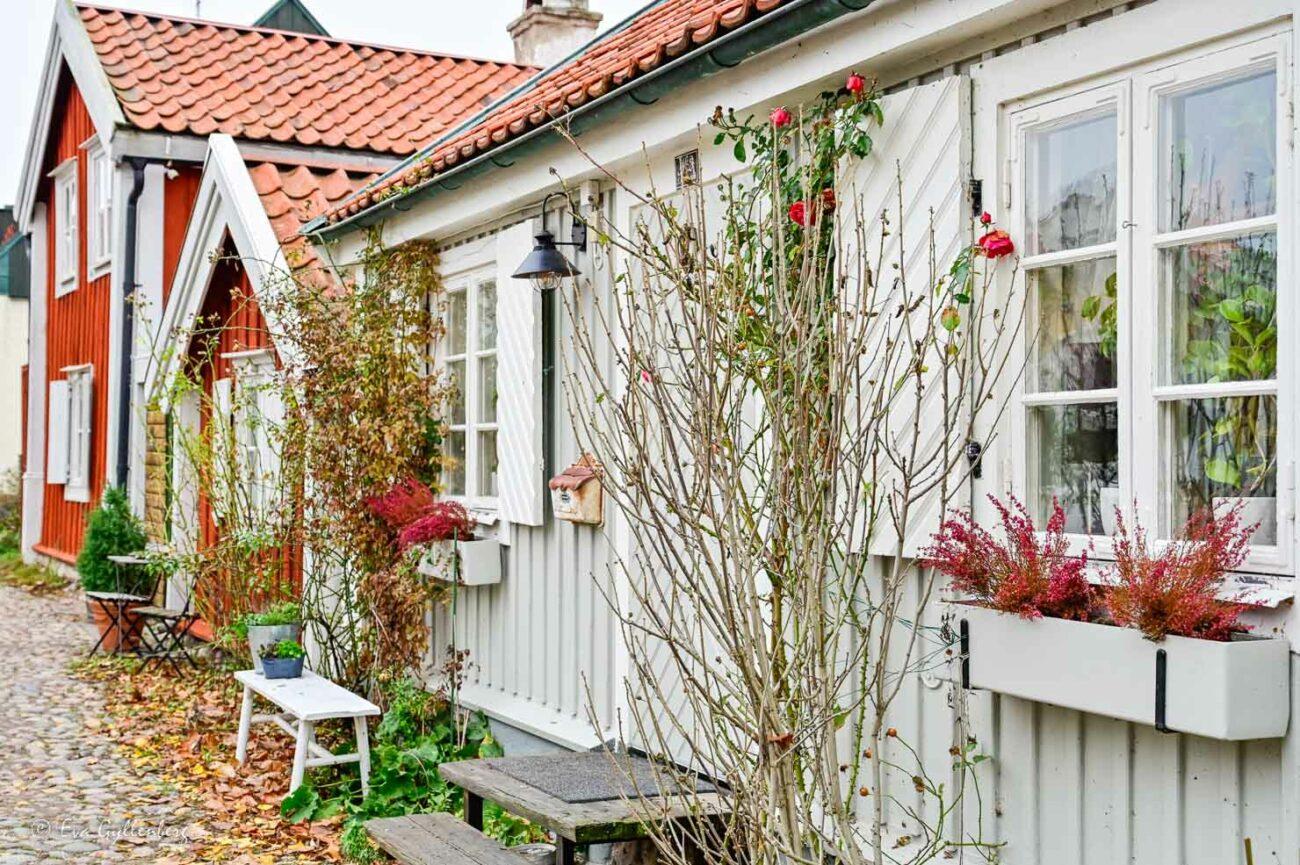Charmiga små vita och röda trähus i gamla stan