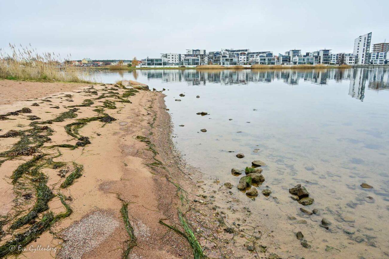 Badplatsen vid Kattrumpan har en fin strand och utsikt mot ett nybyggt bostadsområde