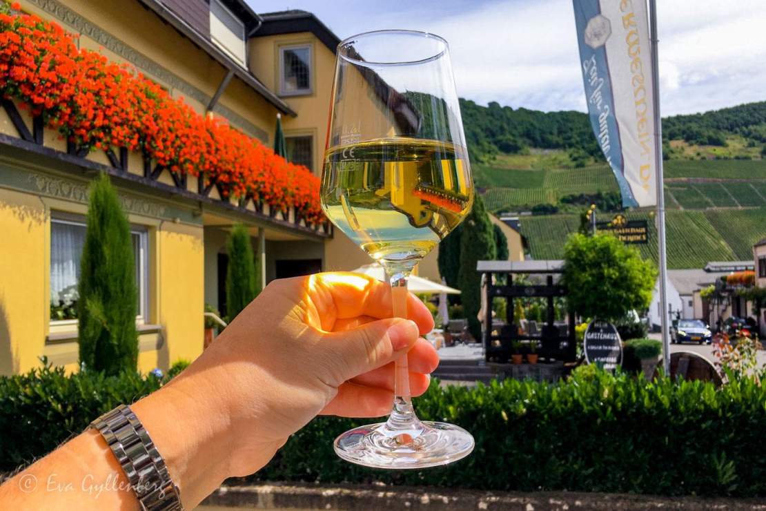 Rieslingvin i ett vinglas