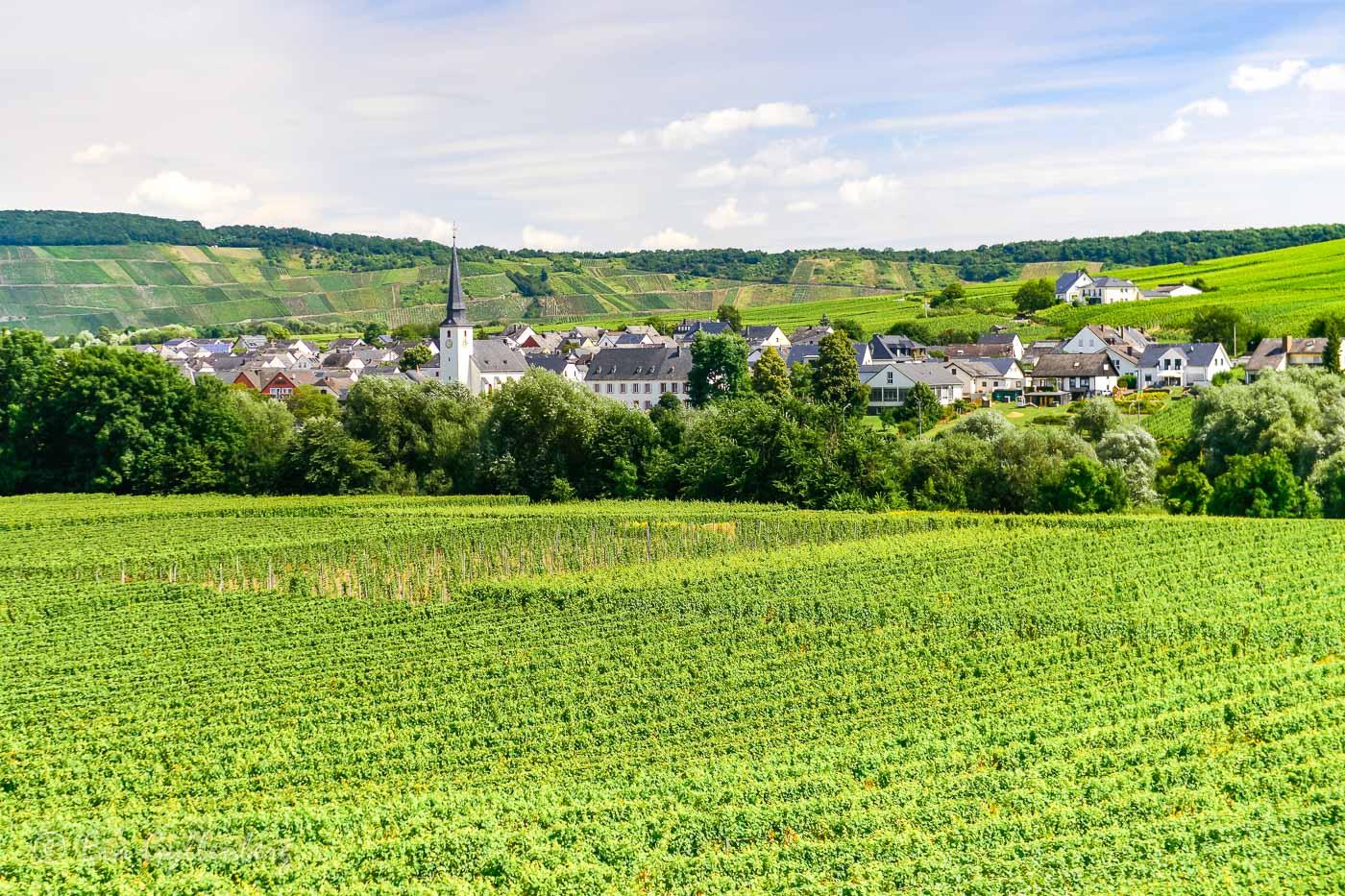 Tysk by med kyrka och vingård