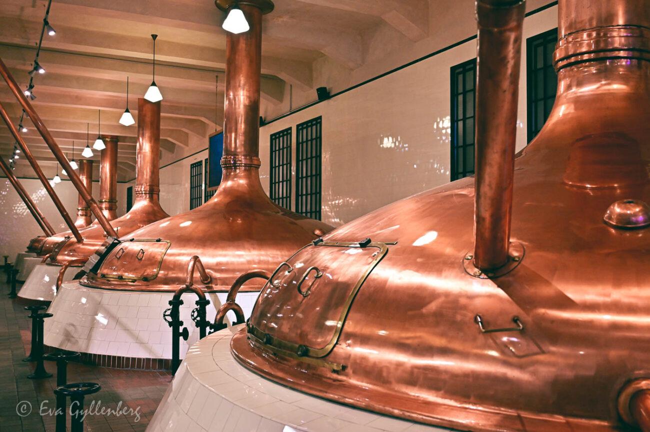 Pilsner Urquelles stora koppartunnor på bryggeriet.