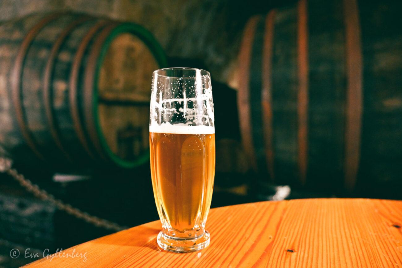 En öl i källaren av Pilsner Urquelle