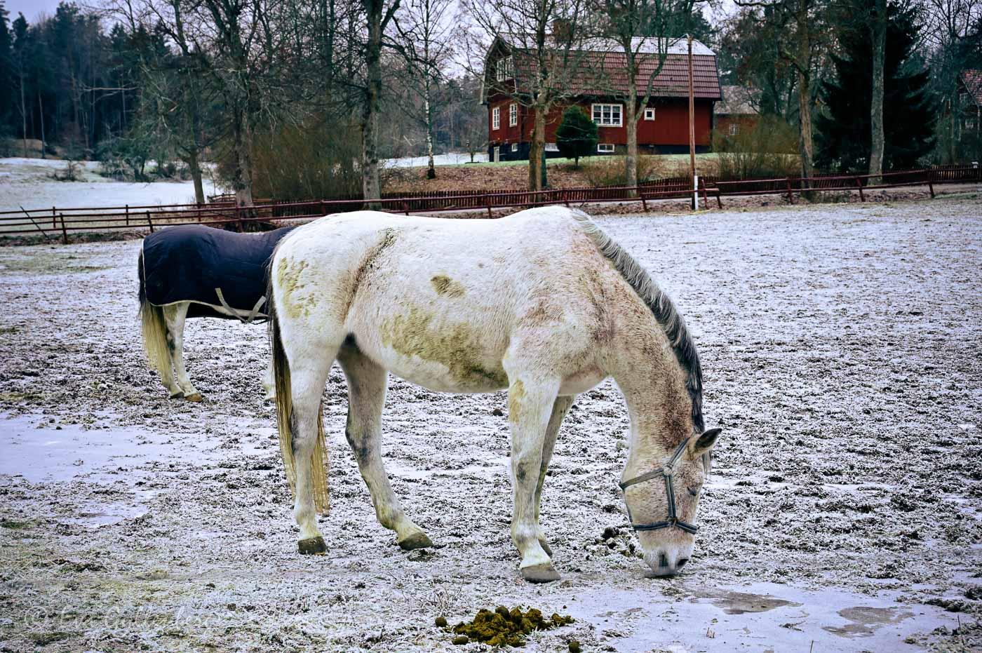 Velamsund-Nacka