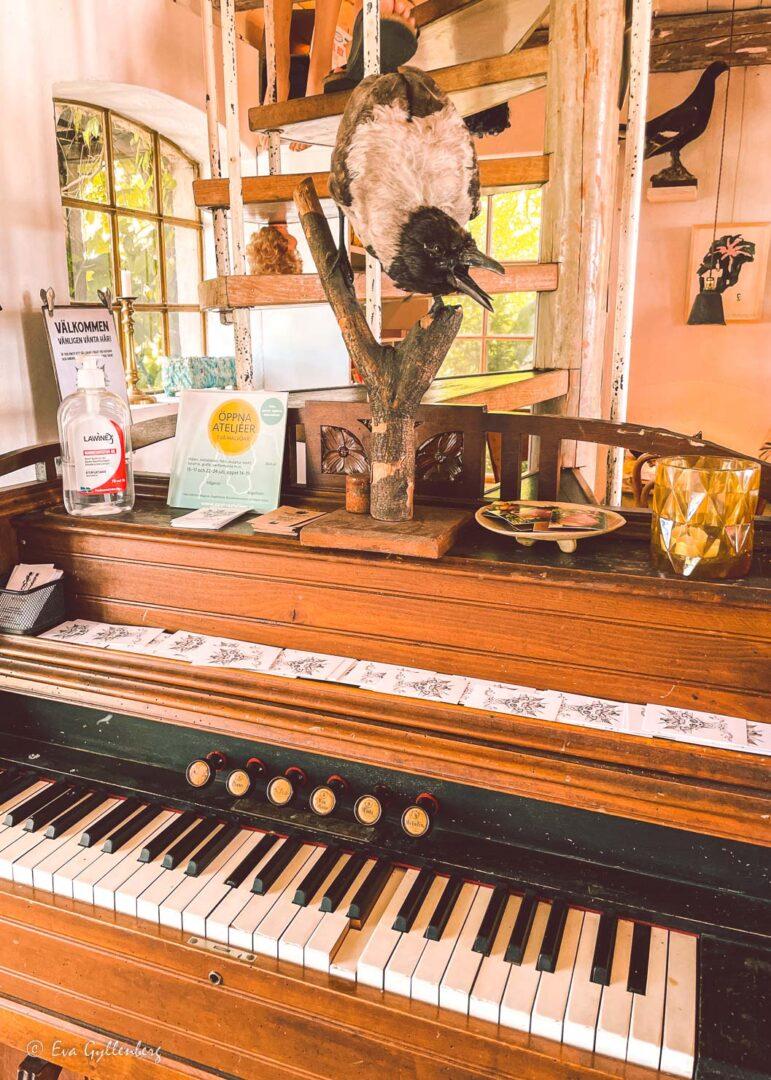 Orgel med en uppstoppad skata ovanpå