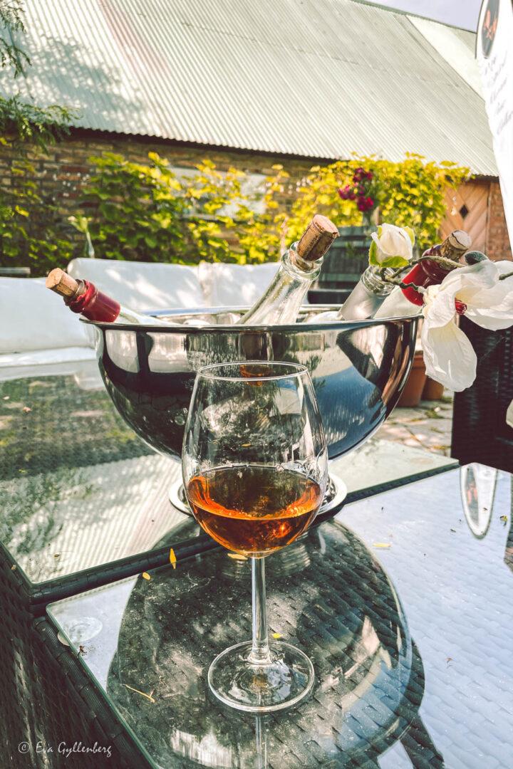 Glas med orange vin på en uteservering