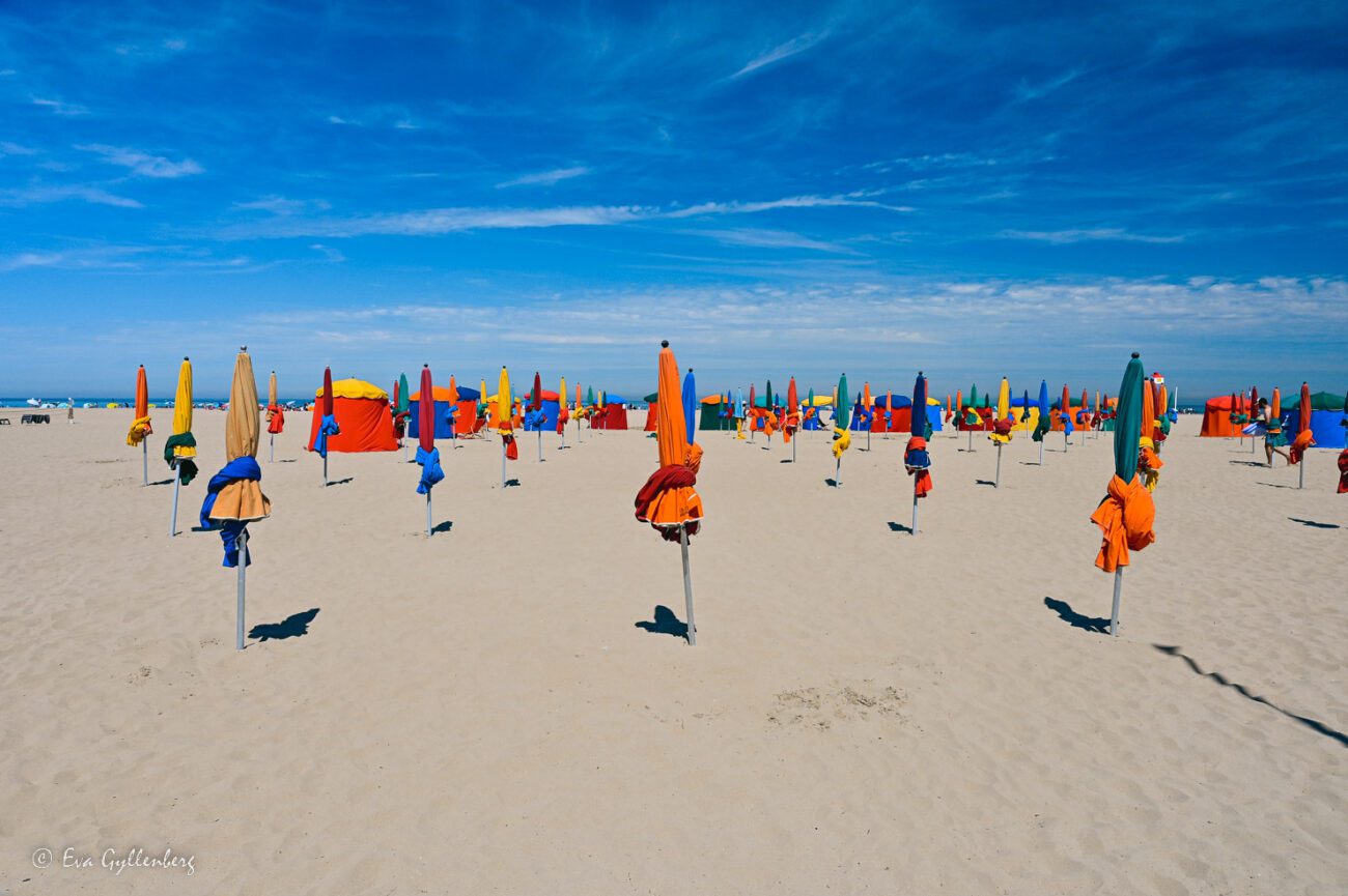 Rader av solparasoller på rad i Deauville