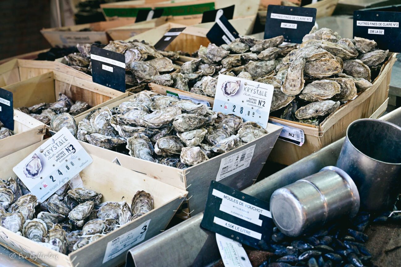 Oysters in a row in a counter at a seafood merchant