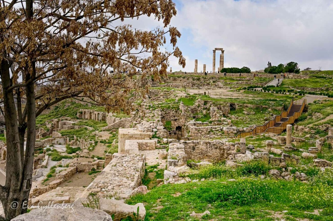 Ruinerna efter citadellet i Amman