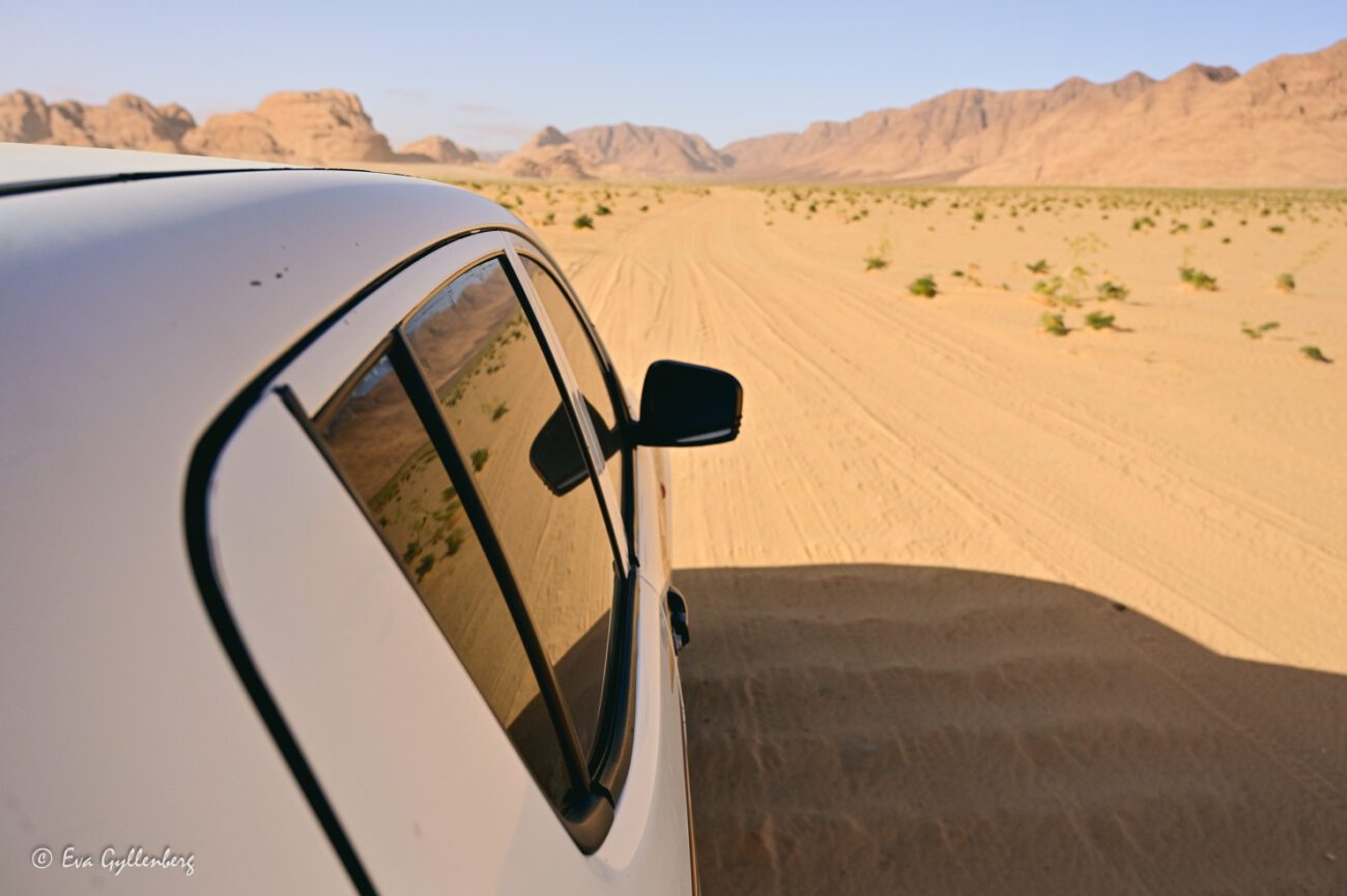 Image from the bed of a four-wheel drive car driving in the desert