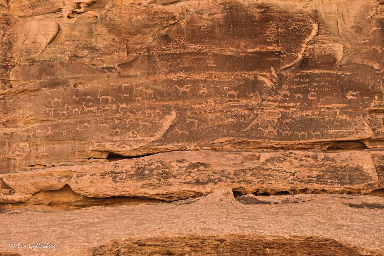 Rock carvings in sandstone in the desert