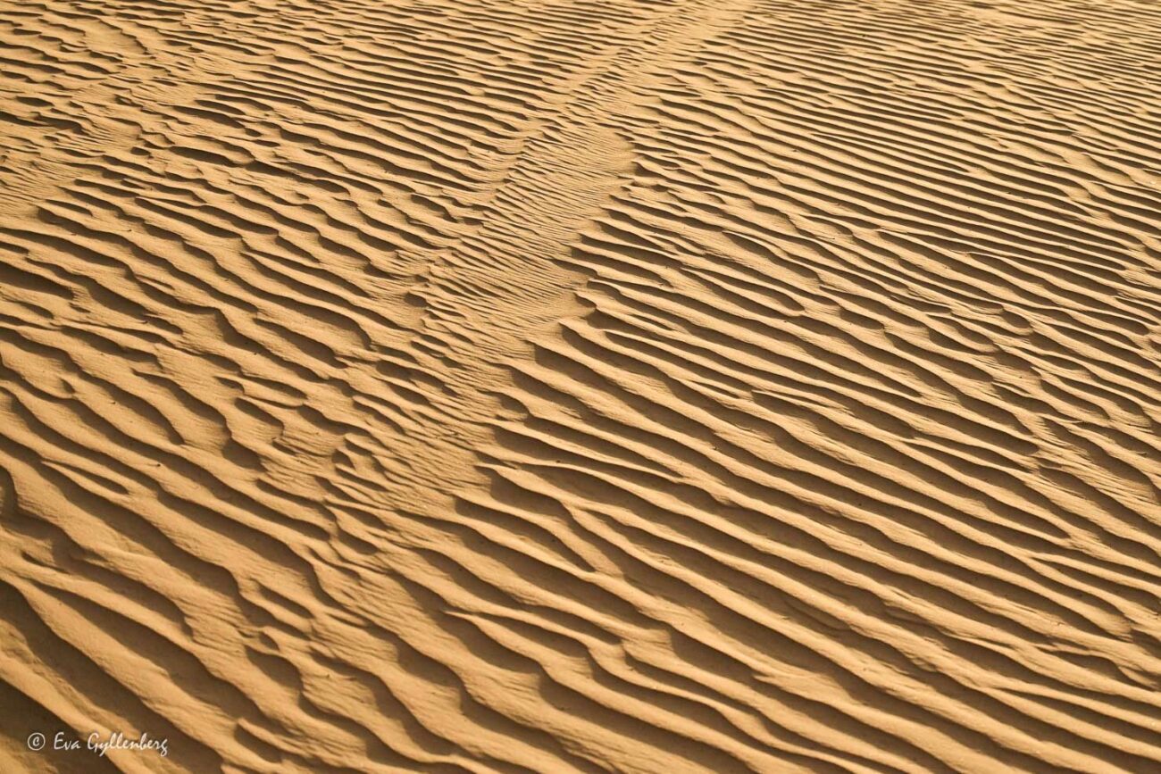Vågor i sand i öknen