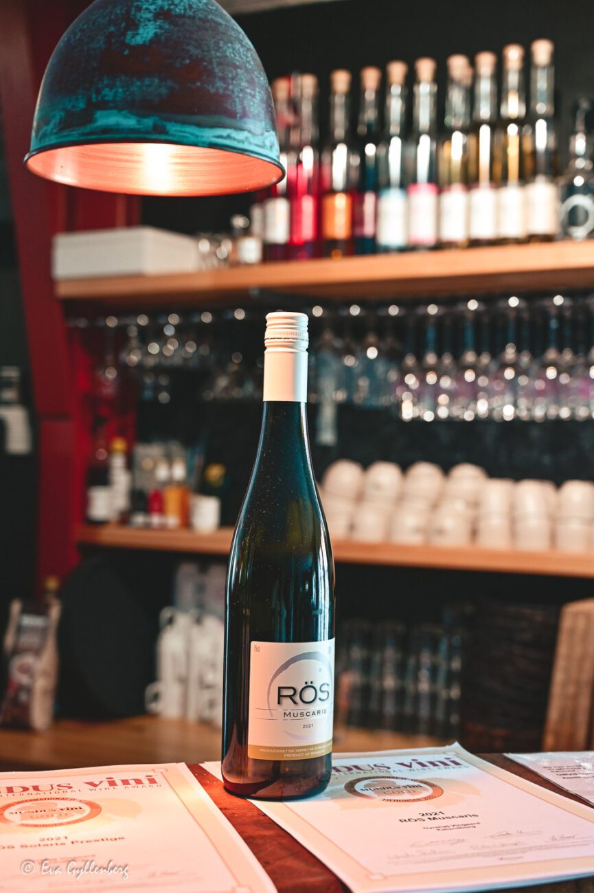Rös vin på vingård i Danmark