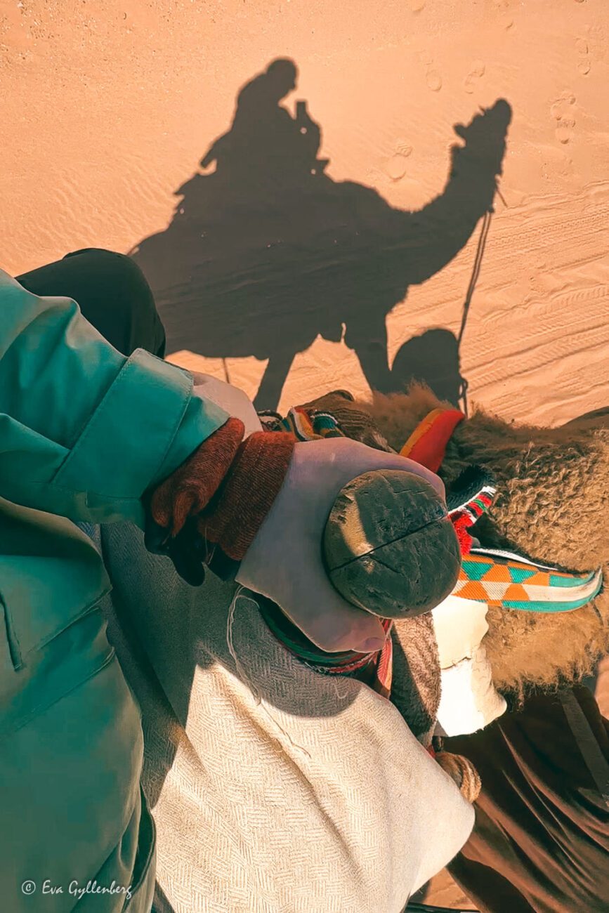 Shadow over a person riding dromedaries in the desert
