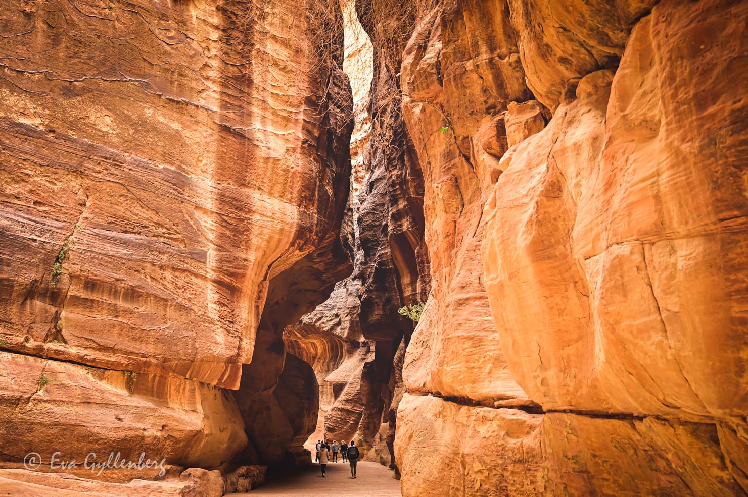 Al-Siq i Petra